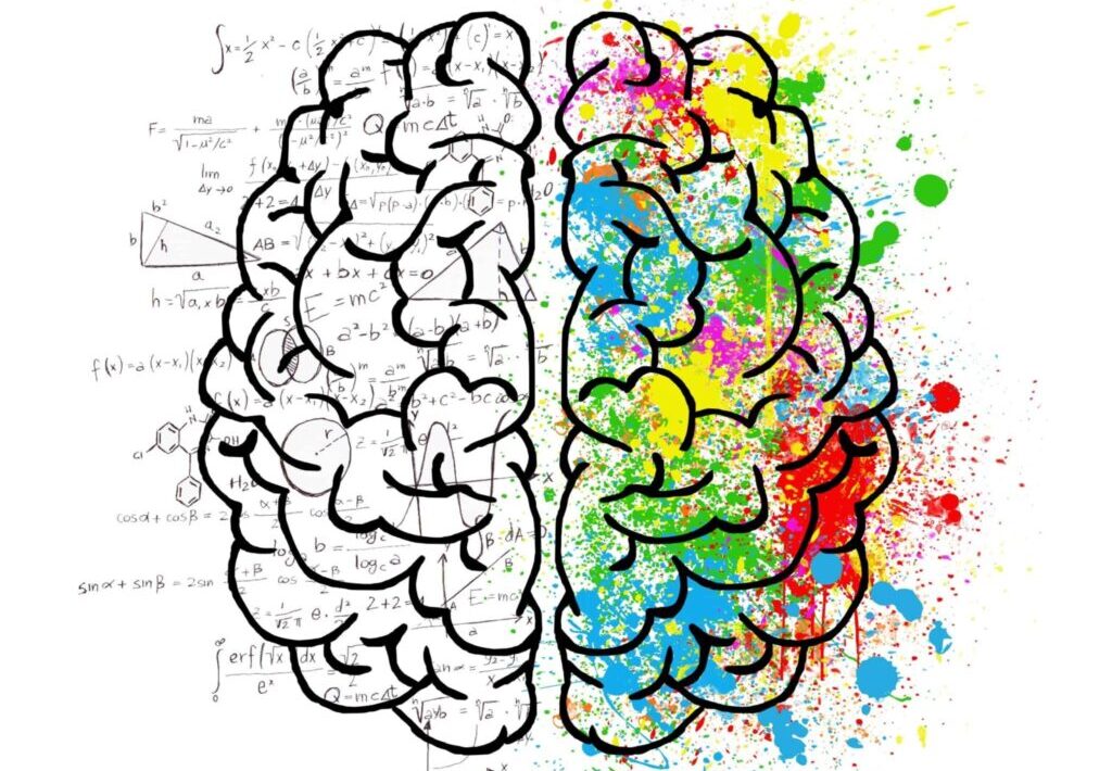Brain Camp Book cover
