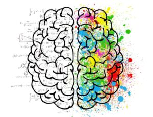 Brain Camp
